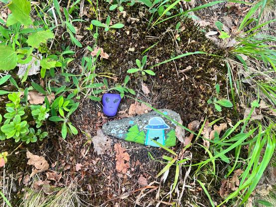 Two painted rocks. One with a UfO while abducting some black stick figure and another in purple that looks like the head of and alien. 