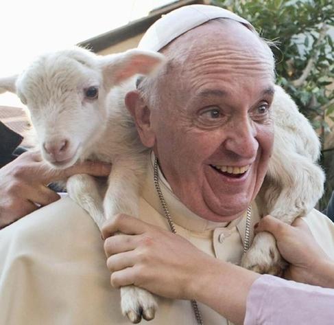 Pope Francis carring a beautiful white lamb around his neck and a great smile on the Pope