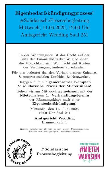 Aufruf im E3K-style zur solidarischen Prozessbegleitung am kommenden Mittwoch, 11. Juni 25 um 12 Uhr im Saal 251 im Amtsgericht Wedding Brunnenplatz 1