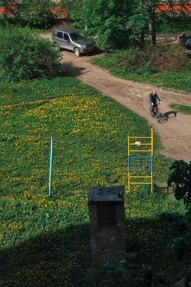 View of the yard from above. Most of the yard is covered in green grass and yellow dandelions. Shadows fall from the house, bushes and trees. A cyclist rides along the path. A car can be seen in the distance.