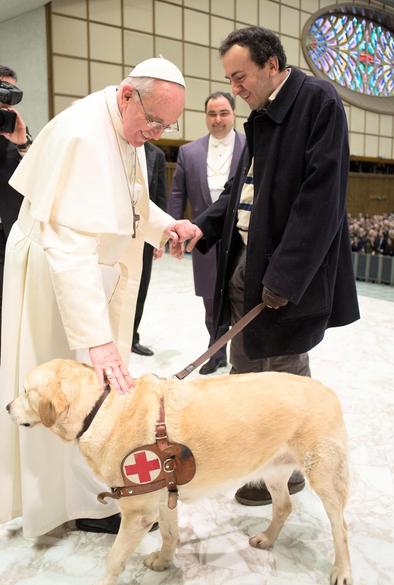 Pope Francis blessing a working dog for the handicapped and a man holding his dog on a leash while holding the Popes hand as he blesses both of them in their Union on the day of the blessing of animals!