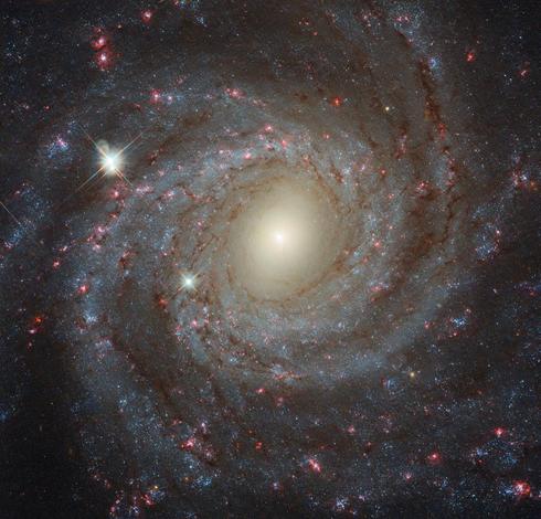 A detailed Hubble Space Telescope image of spiral galaxy NGC 3344, seen face-on. The galaxy has a bright yellowish core, surrounded by loose spiral arms with bluish star clusters and reddish regions of star formation. Several foreground stars appear in the frame with a spiky, cross-like appearance caused by the telescope’s diffraction spikes. The backdrop is a dark, star-filled expanse of space.
