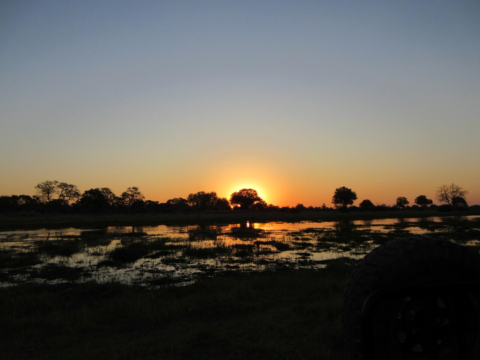 The sun sets over the Okavango delta. Water gleams, broken by hummocks and grasses. There is a row of trees on the horizon: one of them is directly in front of the sun, creating a golden orange halo. The sky is clear, mauve and orange. Everything else is dark.

Location: Okavango delta, Botswana
Photographer: me