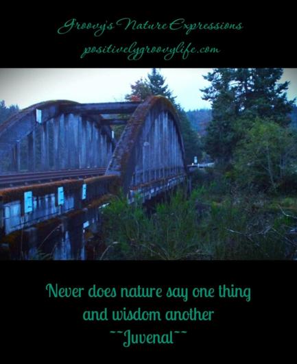Natural Wisdom