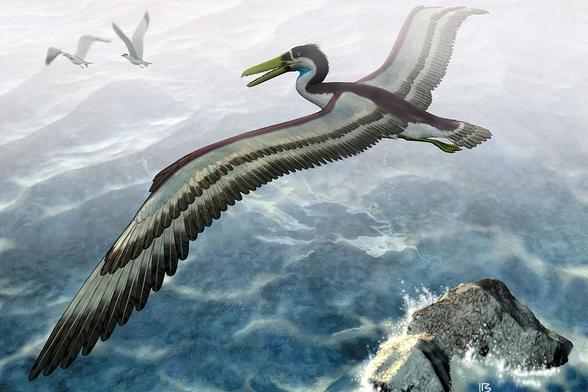 #Ave enorme volando sobre el mar. Tiene un pico largo y dentado.