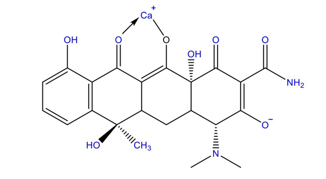 Milk and other dairy products, antacids containing polyvalent cations, and various iron salts form complexes with tetracycline derivatives, making them insoluble and poorly absorbable. This interaction can reduce the absorption of tetracyclines by 50 to 90%, or even more.