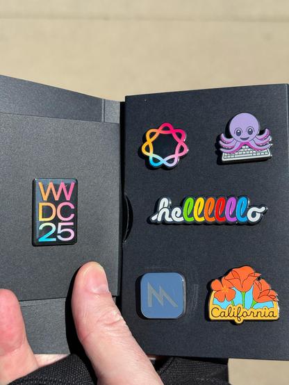 WWDC25 pins