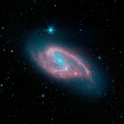 A nearly face-on barred spiral galaxy anchored by its central region, which has a bright blue central dot surrounded by a lighter diagonal blue bar structure made of a haze of stars. Two distinct spiny pink spiral arms start at the end of the bar, rotating clockwise, and forming an S-shape.