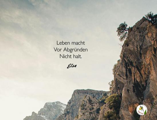 Blick auf eine Felswand im Gebirge, an deren Steilhängen Bäume wachsen. Dazu der Text: Leben macht vor Abgründen nicht halt.