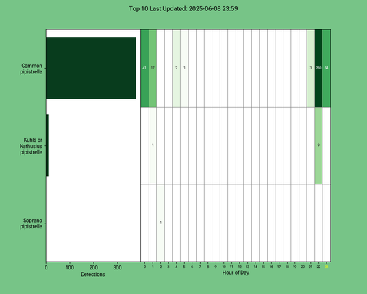 Diagramm der Fledermäuse vom 08.06.2025