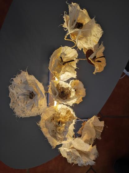 Papier vegetal
