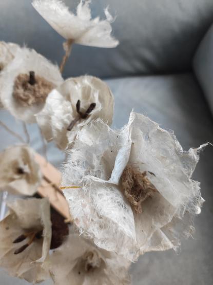 Papier vegetal