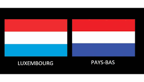 Analyse comparative des régimes fiscaux applicables aux fondations privées aux Pays-Bas et au Luxembourg : enjeux contemporains et perspectives d’évolution (Maître Guillaume Tefengang)
