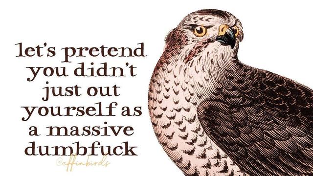 A painting of a bird next to the words "let's pretend you didn't just out yourself as a massive dumbfuck"