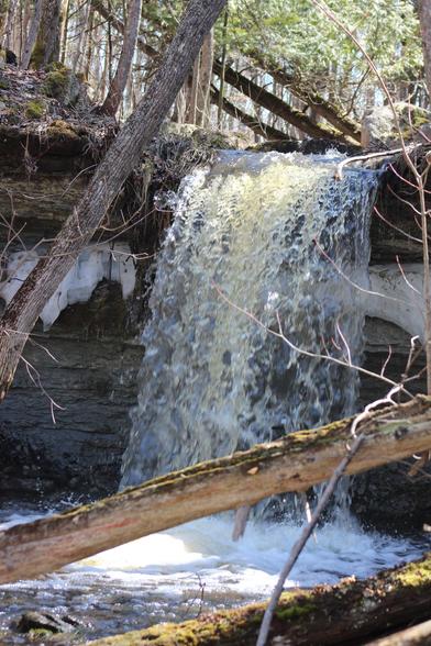 Small waterfall in a forest setting showing water falling over and embankment, fallen trees and some ice build-up from the past winter under the overhang. Spring 2025