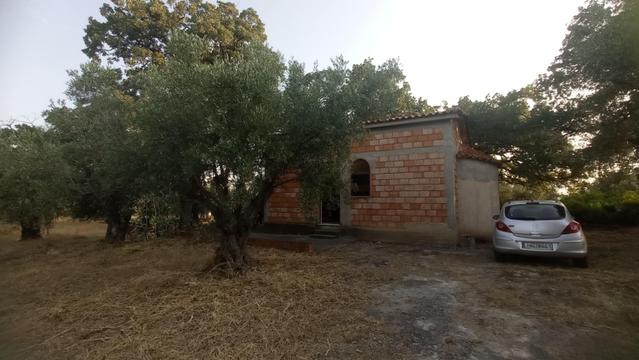#agiosthomas #liturgy #SantaTrinity #agia_trada #dimostanagras #liatani #viotia #centralgreece https://agiosthomas.50webs.com/agia_triada.htm