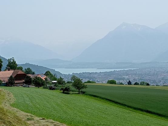 Im Vordergrund grüne Wiese und Felder, links alte Bauernhäuser und Bäume.
Im mittleren Bereich rechts Teile der Stadt Thun und im Zentrum der Thunersee.
Im Hintergrund rechts, durch den Dunst nur schwach sichtbar, der Spiezer Hausberg, der Niesen. Dieser Berg hat von dieser Seite aus gesehen, ungefähr die Form einer Pyramide.