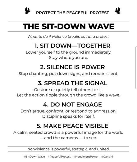 Black text over white background which reads: 
Protect the peaceful protest
The Sit-Down Wave
What to do if violence breaks out at a protest:
1. Sit down - together
Lower yourself to the ground immediately.  Stay where you are.
2. Silence is Power
Stop chanting, put down signs, and remain silent.
3. Spread the Signal
Gesture or quietly tell others to sit.  Let the action ripple through the crowd like a wave.
4. Do Not Engage
Don't argue, confront, or respond to aggression.  Discipline speaks for itself.
5. Make Peace Visible
A calm, seated crowd is a powerful image for the world - and the cameras - to see.