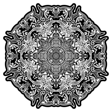 Black on white vector mandala with many varying symmetrical organic and floral ornaments rotate in patterned sections emanating outwards around an eight fold axis.