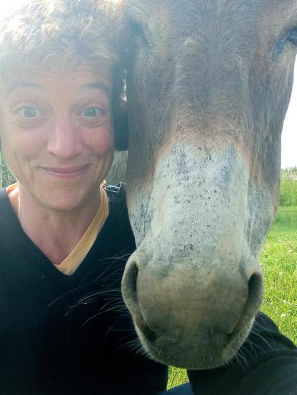 Petite série de Selfie avec Surprise (1/3)
