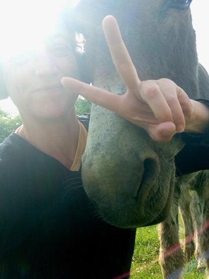 Petite série de Selfie avec Surprise (2/3) avec ✌️