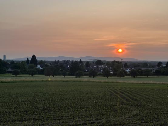 Untergehende Sonne, am Horizont sind Berge (Vogesen und Kaiserstuhl), weiter vorne ein Ort (Gundelfingen) zu sehen.