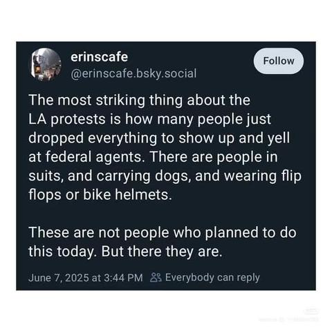 The most striking thing about the LA protests is how many people just dropped everything to show up and yell at federal agents. There are people in suits, and carrying dogs, and wearing flip flops or bike helmets.

These are not people who planned to do this today. But there they are.