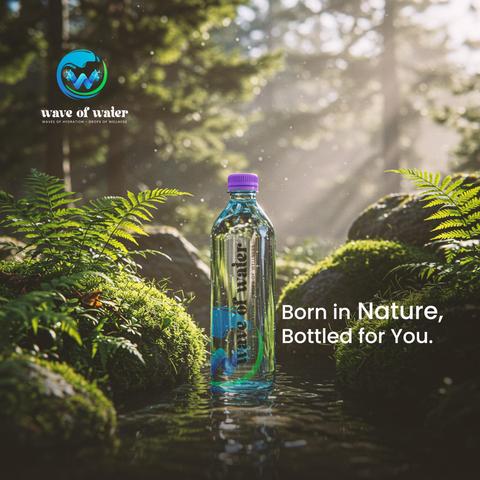 🌊 Start Fresh. Stay Strong.
Pure hydration begins with Wave of Water — fuel your body, refresh your mind. 💧

#WaveOfWater #PureHydration #HealthyStart #StayRefreshed #HydrateNaturally