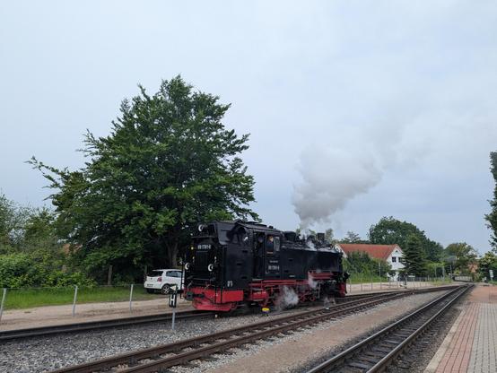 La locomotive à vapeur du Rasender Roland laisse échapper un gros filet de fumée blanche en gare de Binz pendant qu'elle effectue une manœuvre.