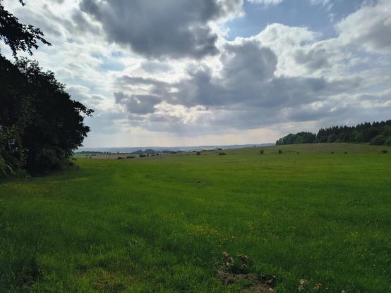 Blick vom östlichsten Punkt von Belgien in Richtung Westen. Man sieht eine Wiese im Vordergrund und ein paar Hügel unter wolkigem Himmel im Hintergrund.