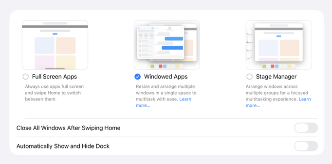 Windowing options in iPad Settings app. Fullscreen, Windowed, or Stage Manager
