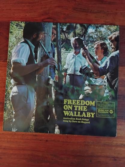 LP cover.
Photo of hairy-headed men standing amid shrubs and trees.