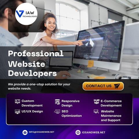 A team of Professional Website Developers making a webiste
