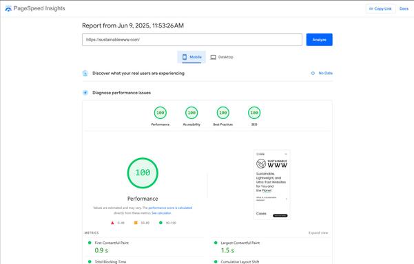 Screenshot of Google PageSpeed Insights showing a 100 result (Best results) across all 4 categories which is: Performance, Accessibility, Best Practices and SEO.