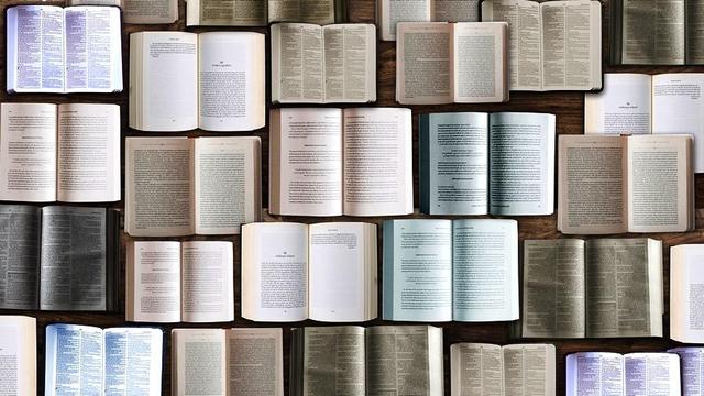Abstract photo of many open books.