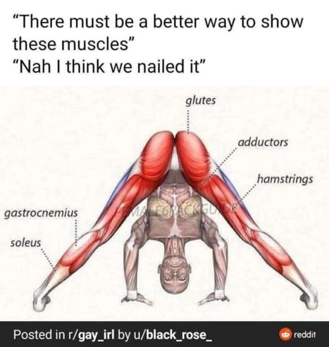 '"There must be a better way to these muscles"

"Nah I think we nailed it"

a guy on his head, with his legs spread eagle and he is looking at us through his legs. It is his muscular system they are showing us

posted in r/gay_irl by u/black_rose_ on reddit