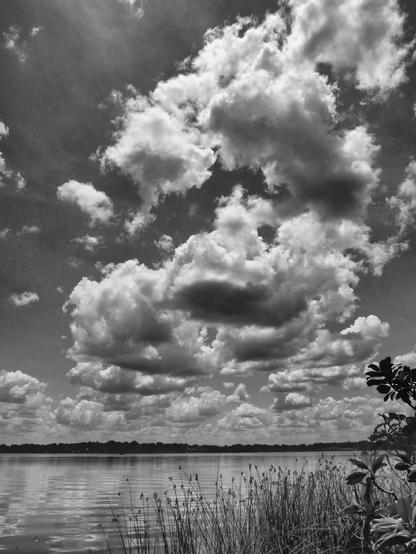 Black and white image of scattered cumulus clouds over a lake