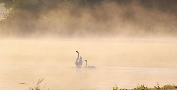 EE Eu
AR
db
Ress 3 aad
7 it x a 2 Py 1
SA ba or Rt ta a. Eg |
v J Bape:
Fw
4 a 4
_ - : y " al
- o = = ry
— I 4 8
; re B
)) p> : a
IE as = RV Jer TO via c CH Ln TOA RE
