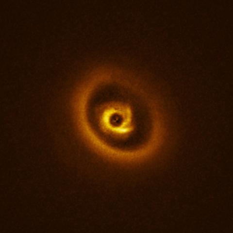 A close-up of the star RIK 113, seen here surrounded by a cloud of gas and dust called a protoplanetary disc. These discs are a common feature around young stars, containing all the building blocks needed to make a new planet. Over time, these dusty discs will fragment and condense under the influence of gravity, forming larger objects like protoplanets. These planetary embryos carve out gaps in the dust around them, forming the intricate, ring-like structures that we can see in this disc. 