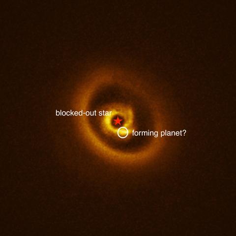 A close-up of the star RIK 113, seen here surrounded by a cloud of gas and dust called a protoplanetary disc. These discs are a common feature around young stars, containing all the building blocks needed to make a new planet. Over time, these dusty discs will fragment and condense under the influence of gravity, forming larger objects like protoplanets. These planetary embryos carve out gaps in the dust around them, forming the intricate, ring-like structures that we can see in this disc. Location of a possible new planet marked with the white circle. 