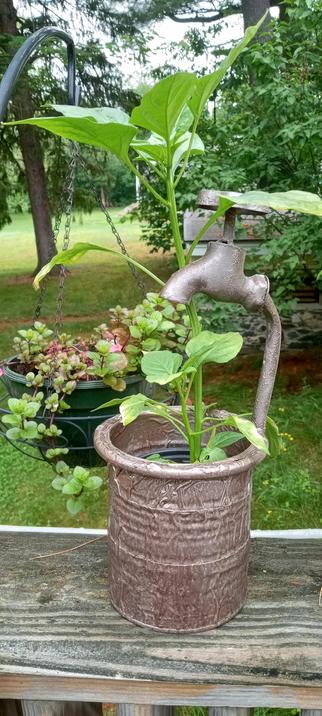 The same planter restored with a metal can. It is wrapped in aluminum tape and painted with a light bronze type paint. 