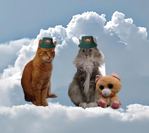 Angel Ornella 🌈 and angel Simba 🌈 sitting together with Simbalito on a cloud