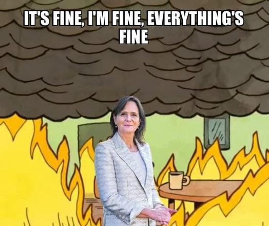 Een photoshop van de "This is fine"- meme (origineel: 'A smiling cartoon dog sits at a table, coffee mug on hand, as a room goes up in flames. "This is fine," the dog assures himself.') met daarin de hond vervangen door mij voor Nicolien van Vroonhoven. "It's fine, I'm fine, everything's fine."