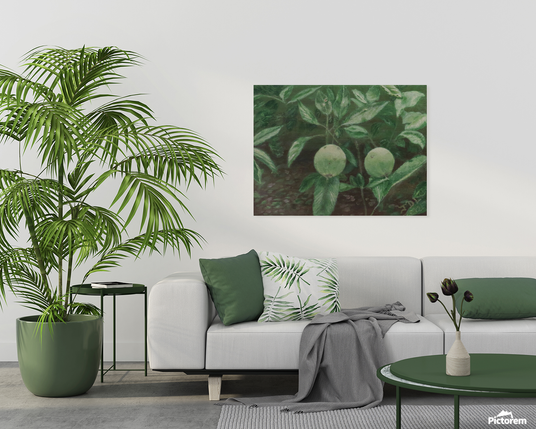Painting, above an off-white couch on an off-white wall, of two young apples, side by side, on a tree. The foliage is green, and the apples are enjoying the morning sun. 