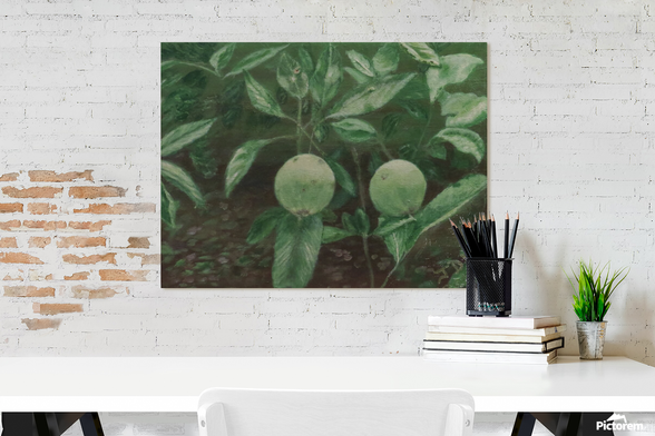 Painting, on a white brick wall above a table,  of two young apples, side by side, on a tree. The foliage is green, and the apples are enjoying the morning sun. 