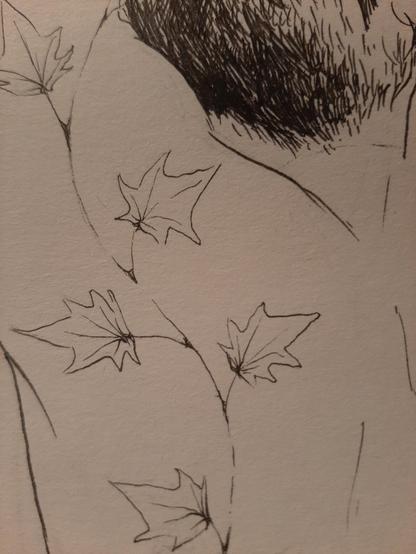Ink drawing of ivy