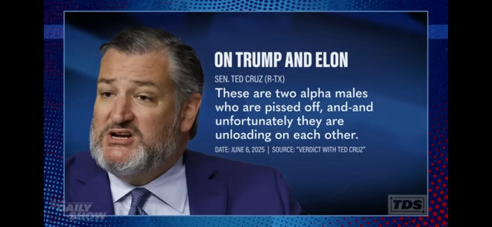 Ted Cruz on Trump and Elon: These are two alpha maled who are pissed off, and-and unfortunately they are unloading on each other😂😇