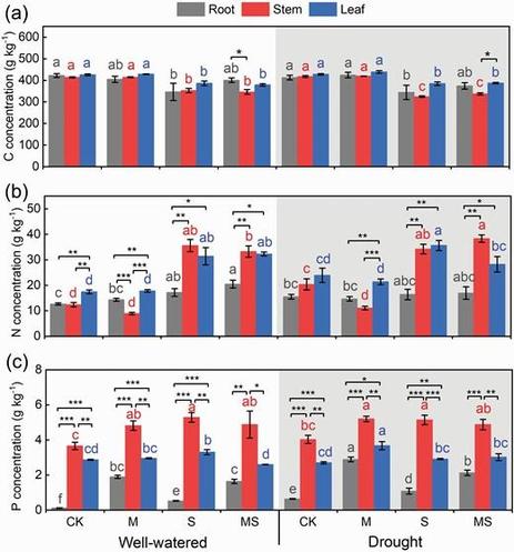 Effects of salt (S) and AMF (M) on C (a), N (b) and P (c) concentrations in different organs of maize cultivated under well-watered or drought conditions.