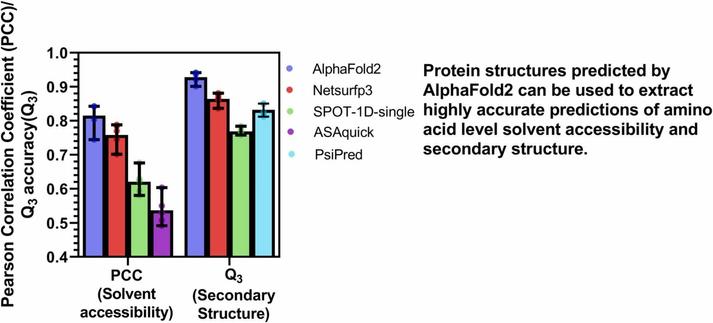 Comprehensive assessment of AlphaFold’s predictions of secondary structure and solvent accessibility at the amino acid-level in eukaryotic, bacterial and archaeal proteins. Computational and Structural Biotechnology Journal, DOI: https://doi.org/10.1016/j.csbj.2025.05.047