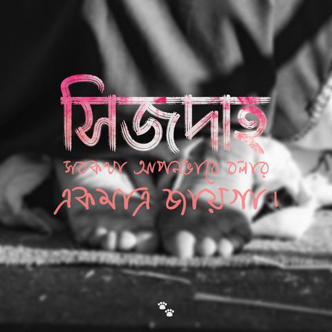 সিজদাহ, সবকথা আপনভাবে বলার একমাত্র জায়গা।
